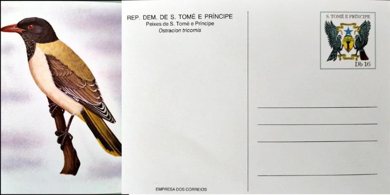 project-slider-image