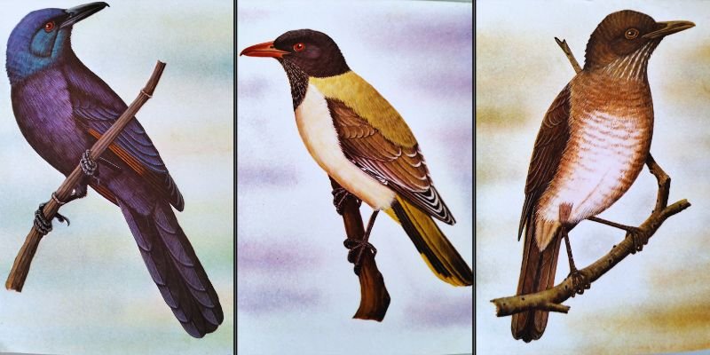 project-slider-image