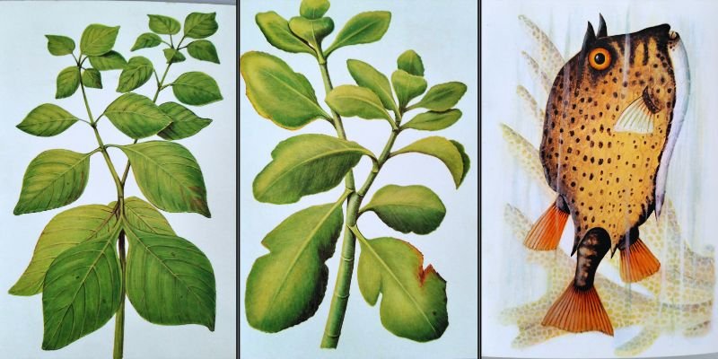 project-slider-image